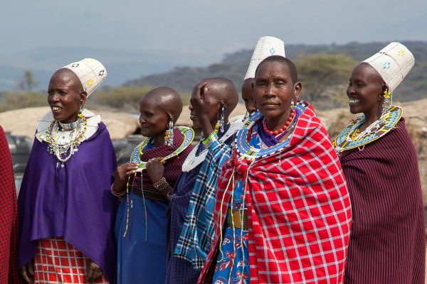Safari experience in Tanzania — Serengeti Legacy Adventures