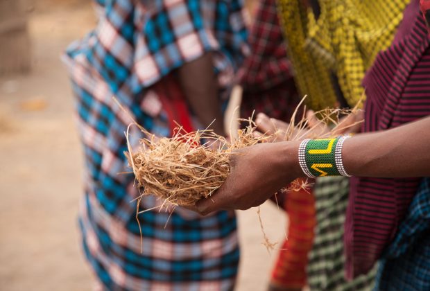 Maasai cultural ceremony with traditional attire, Tanzania