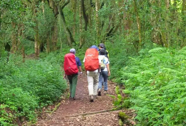 marangu kilimanjaro