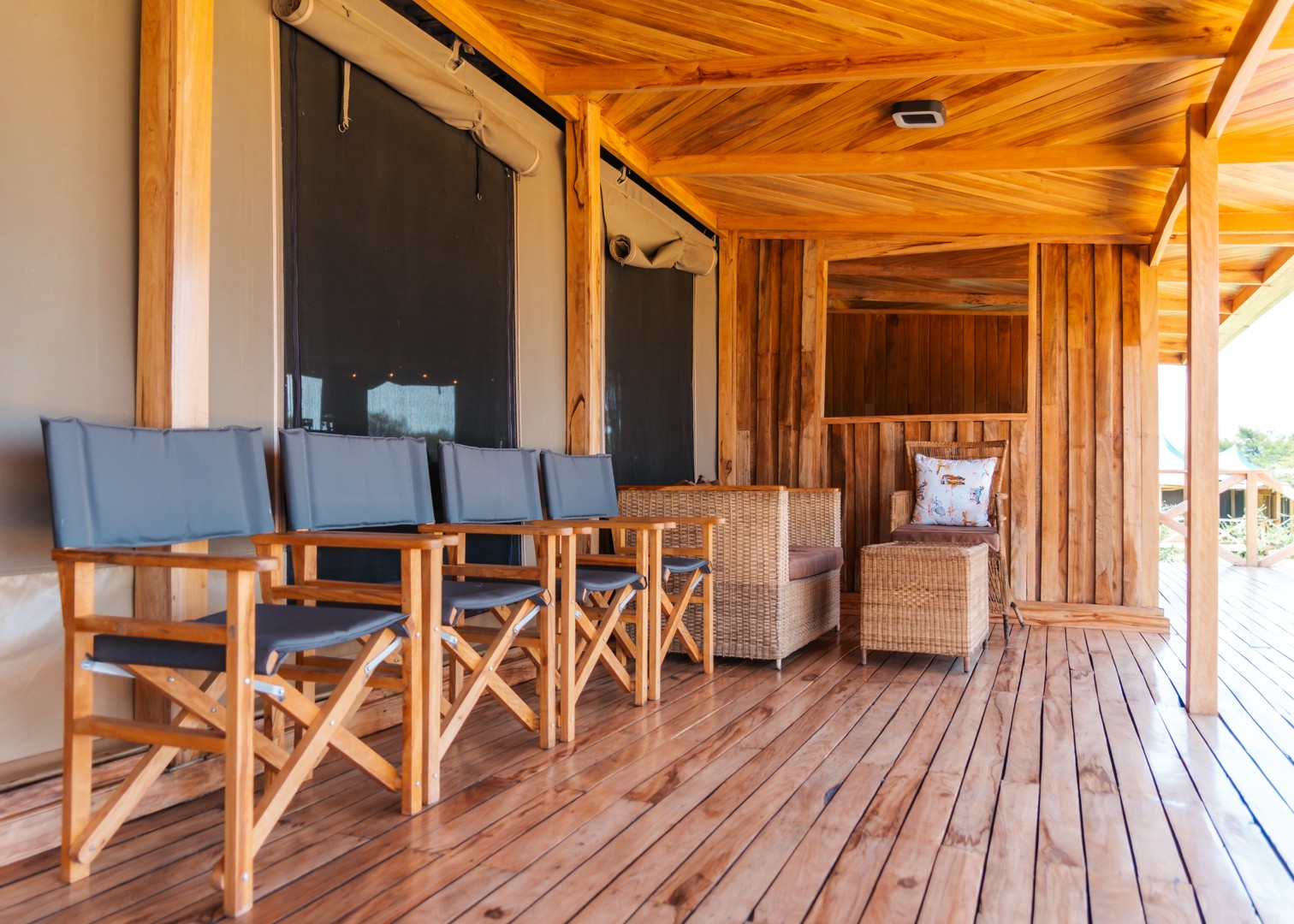 Into Wild Africa Signature Serengeti room