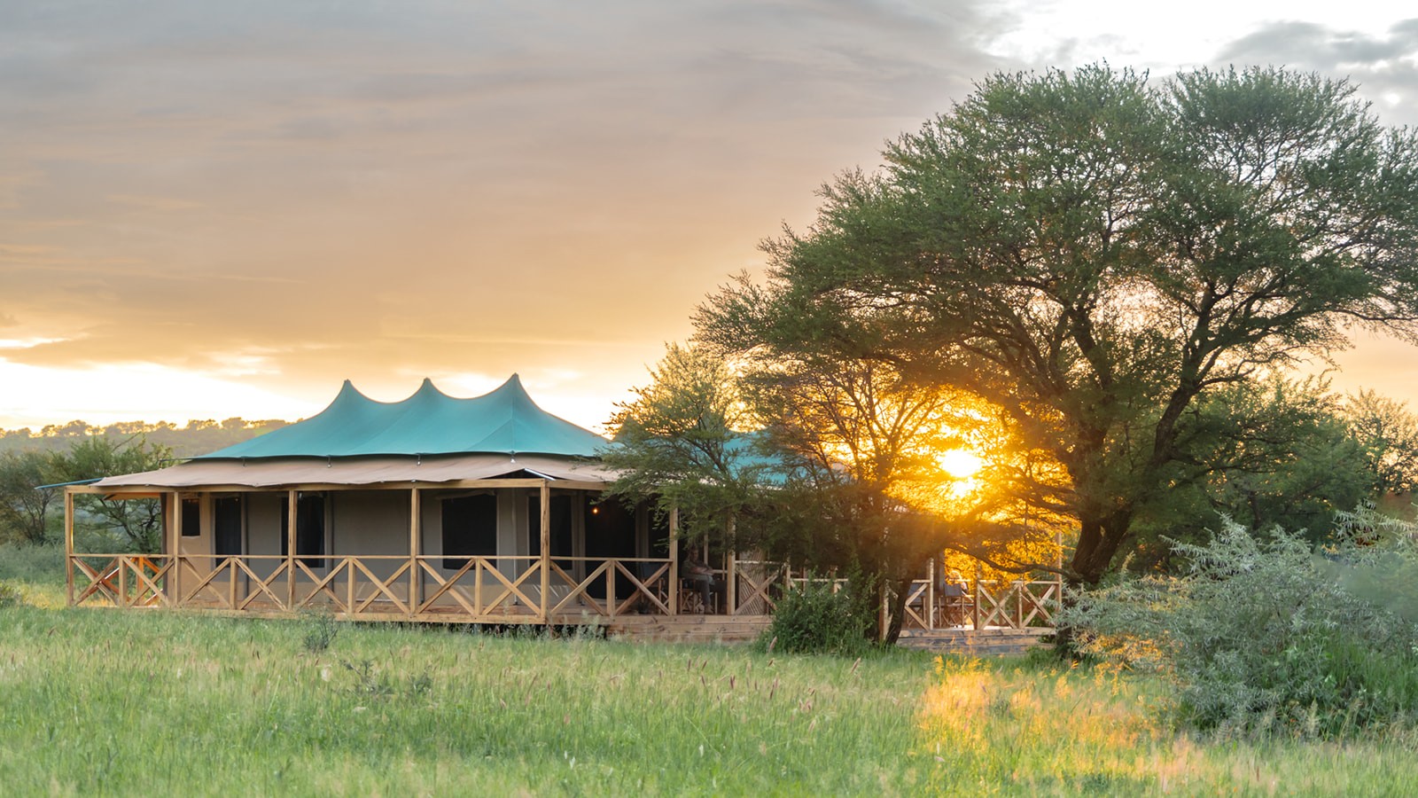 Into Wild Africa Signature Serengeti luxury tented camp