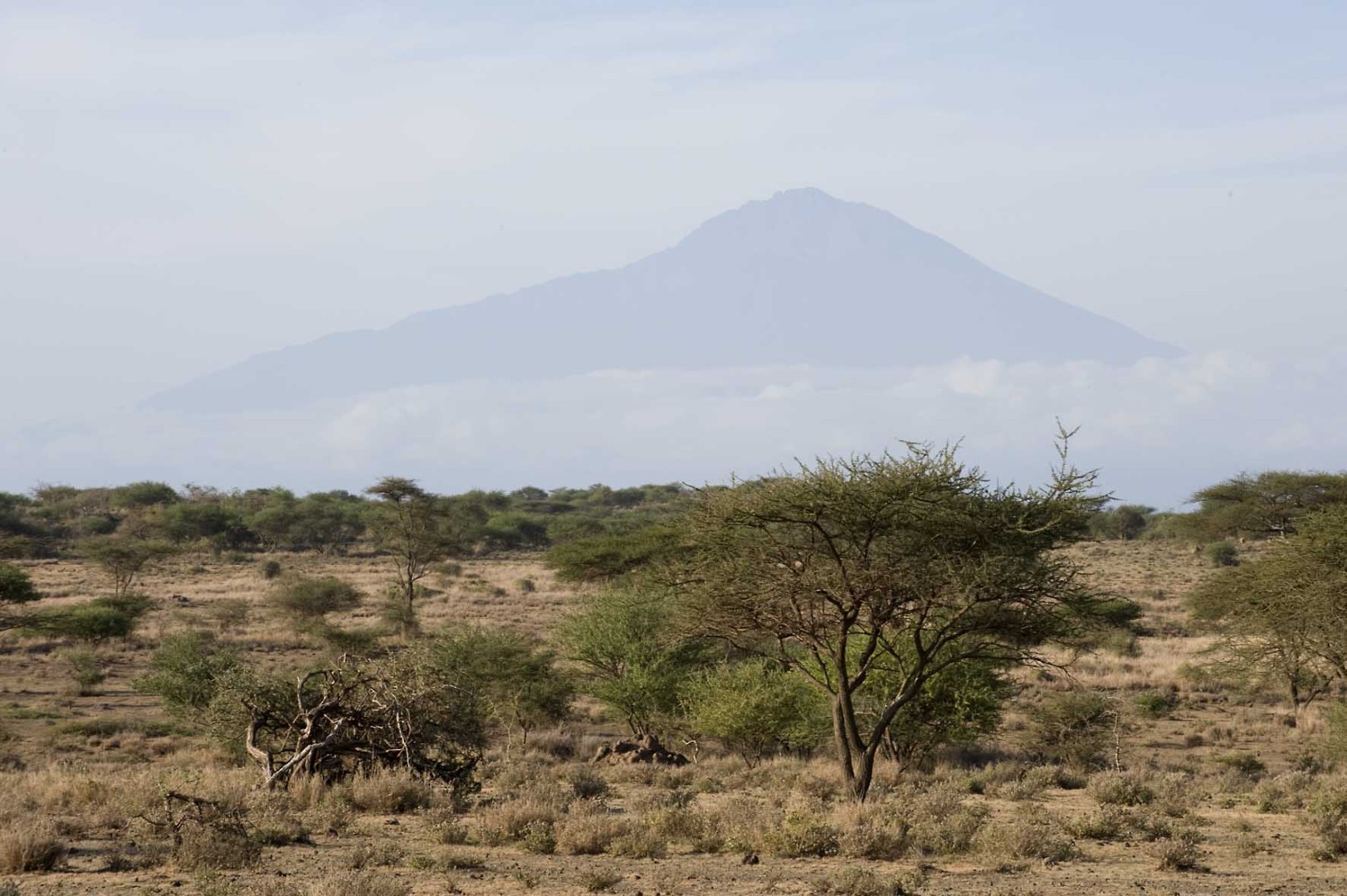 Kambi Ya Tembo