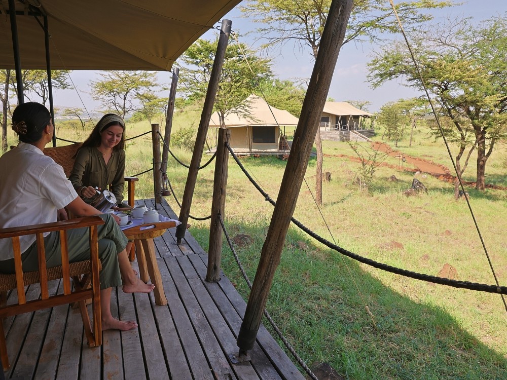 Kifaru Serengeti view