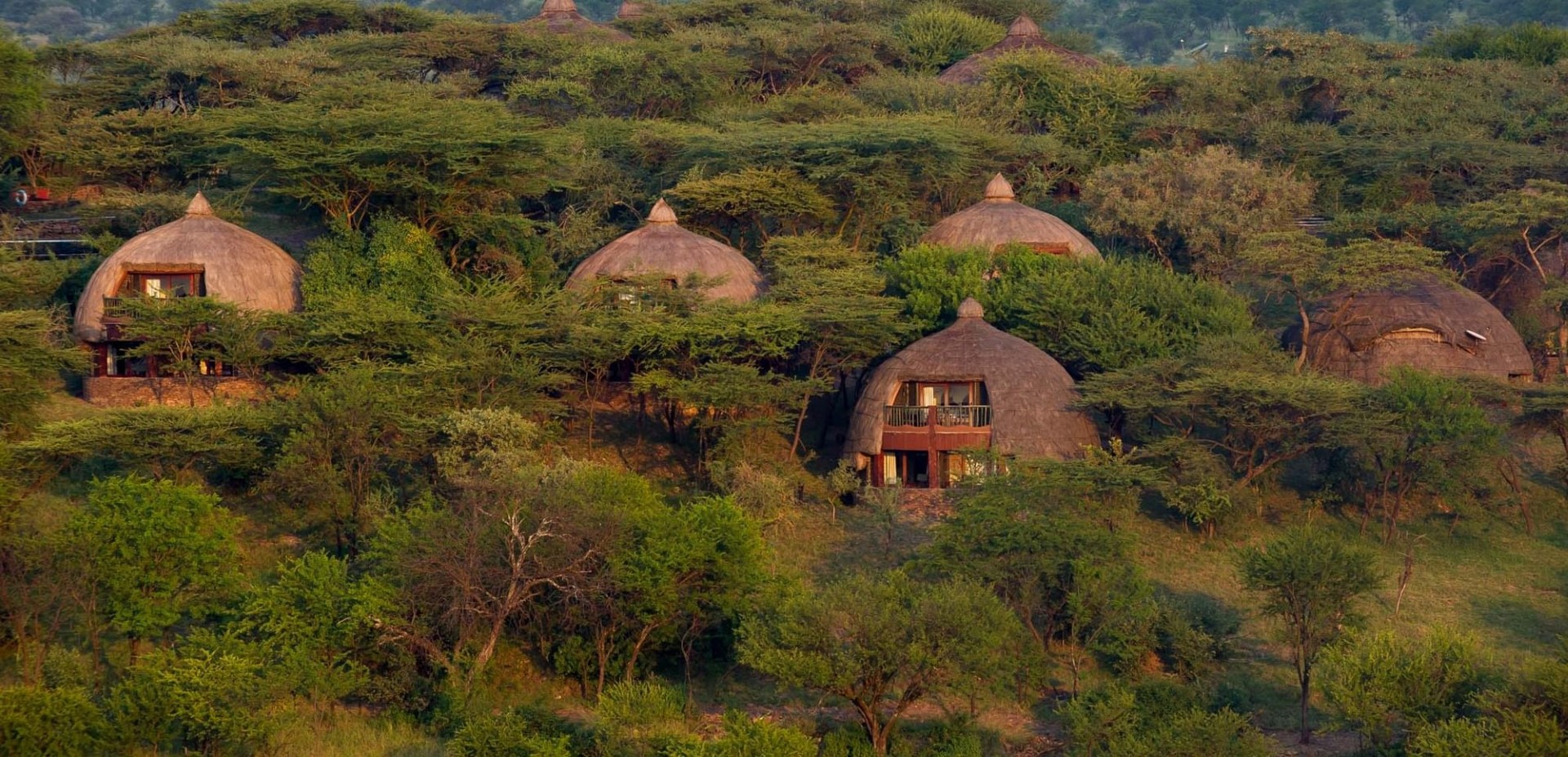 Serena Serengeti